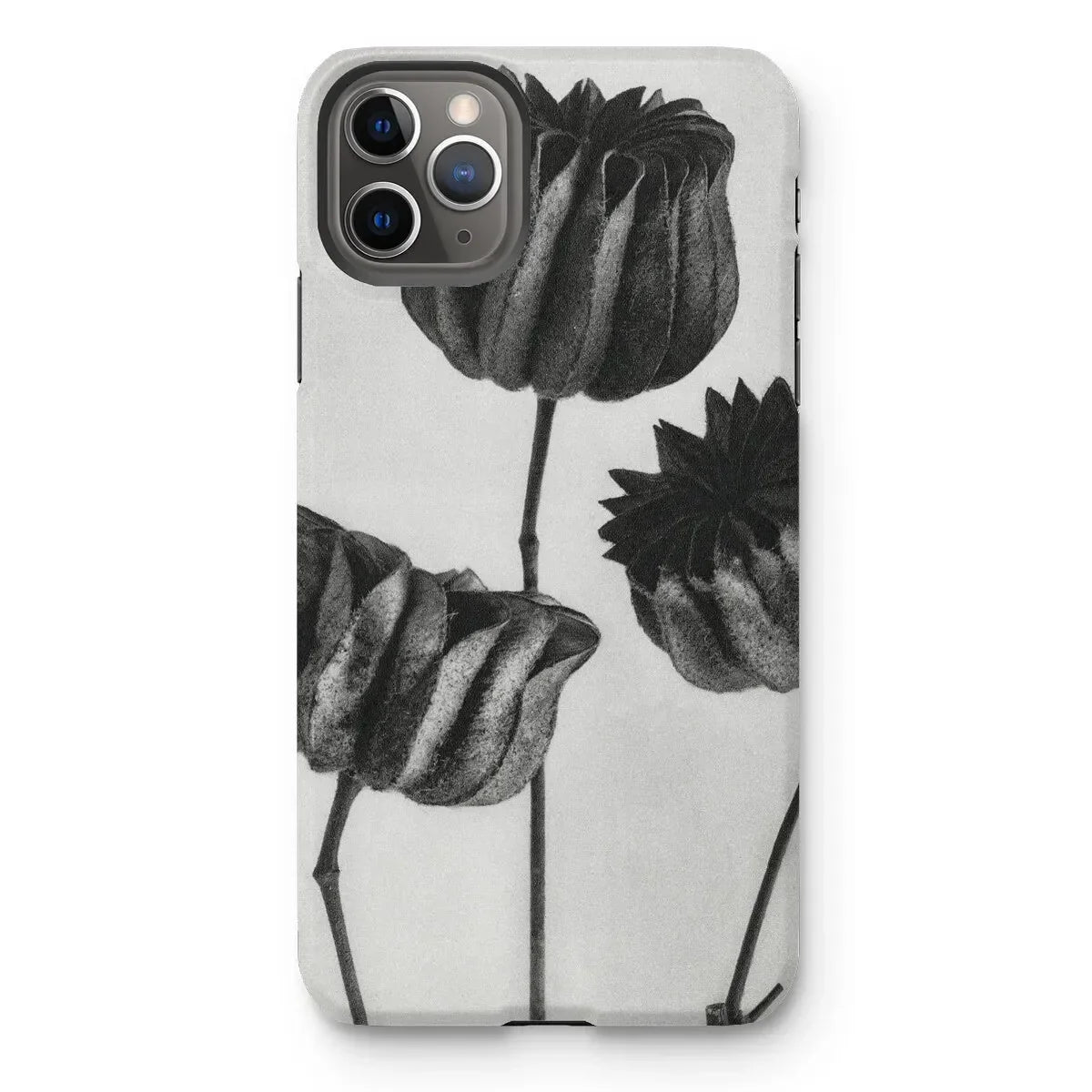 Abutilon (lime Mallow) Pod - Karl Blossfeldt Iphone Case 11 Pro Max / Matte Mobile Phone Cases