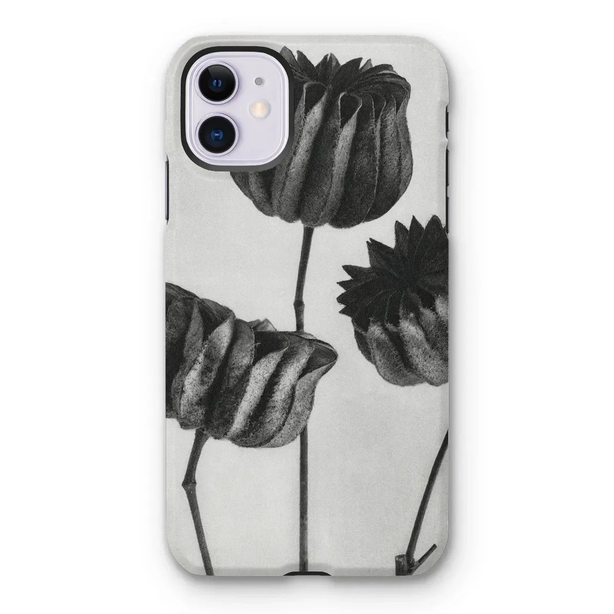 Abutilon (lime Mallow) Pod - Karl Blossfeldt Iphone Case Mobile Phone Cases