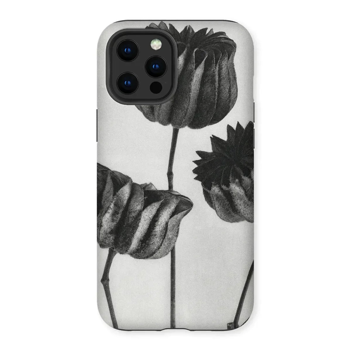 Abutilon (lime Mallow) Pod - Karl Blossfeldt Iphone Case, Iphone Case Black White Floral Design Tulips