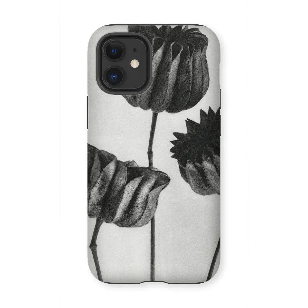 Abutilon (lime Mallow) Pod - Karl Blossfeldt Iphone Case 12 Mini / Matte Mobile Phone Cases