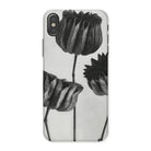 Abutilon (lime Mallow) Pod - Karl Blossfeldt Iphone Case