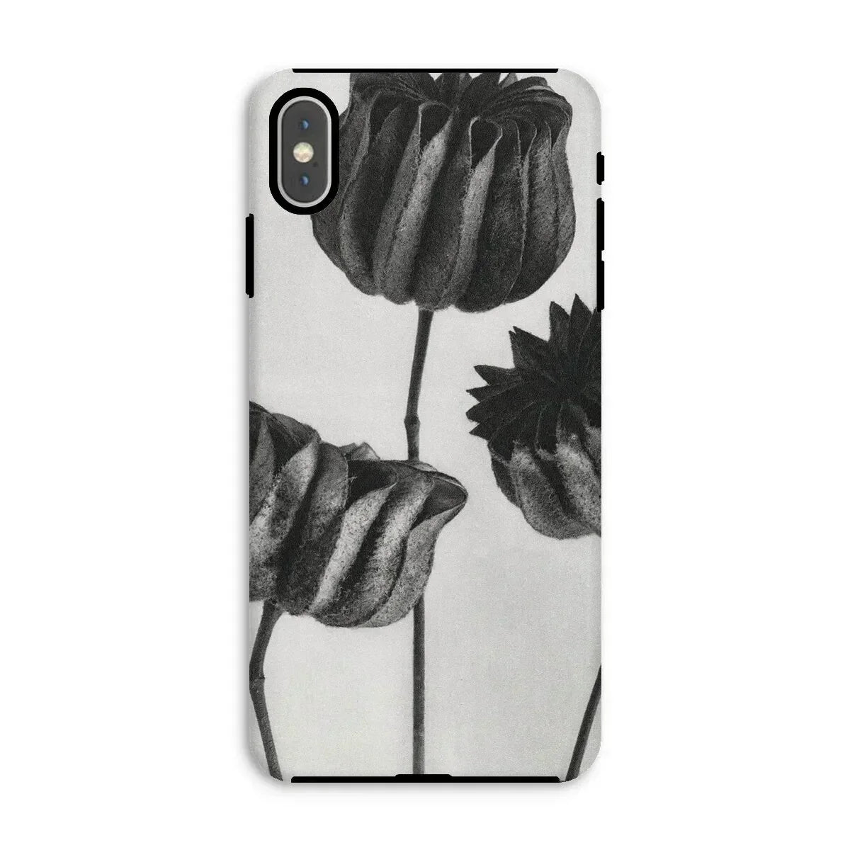 Abutilon (lime Mallow) Pod - Karl Blossfeldt Iphone Case, Phone Case Black White Floral Design Tulip-like Flowers