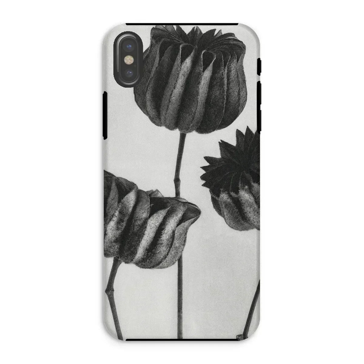 Abutilon (lime Mallow) Pod - Karl Blossfeldt Iphone Case, Phone Case Black White Floral Design Tulip-like Flowers