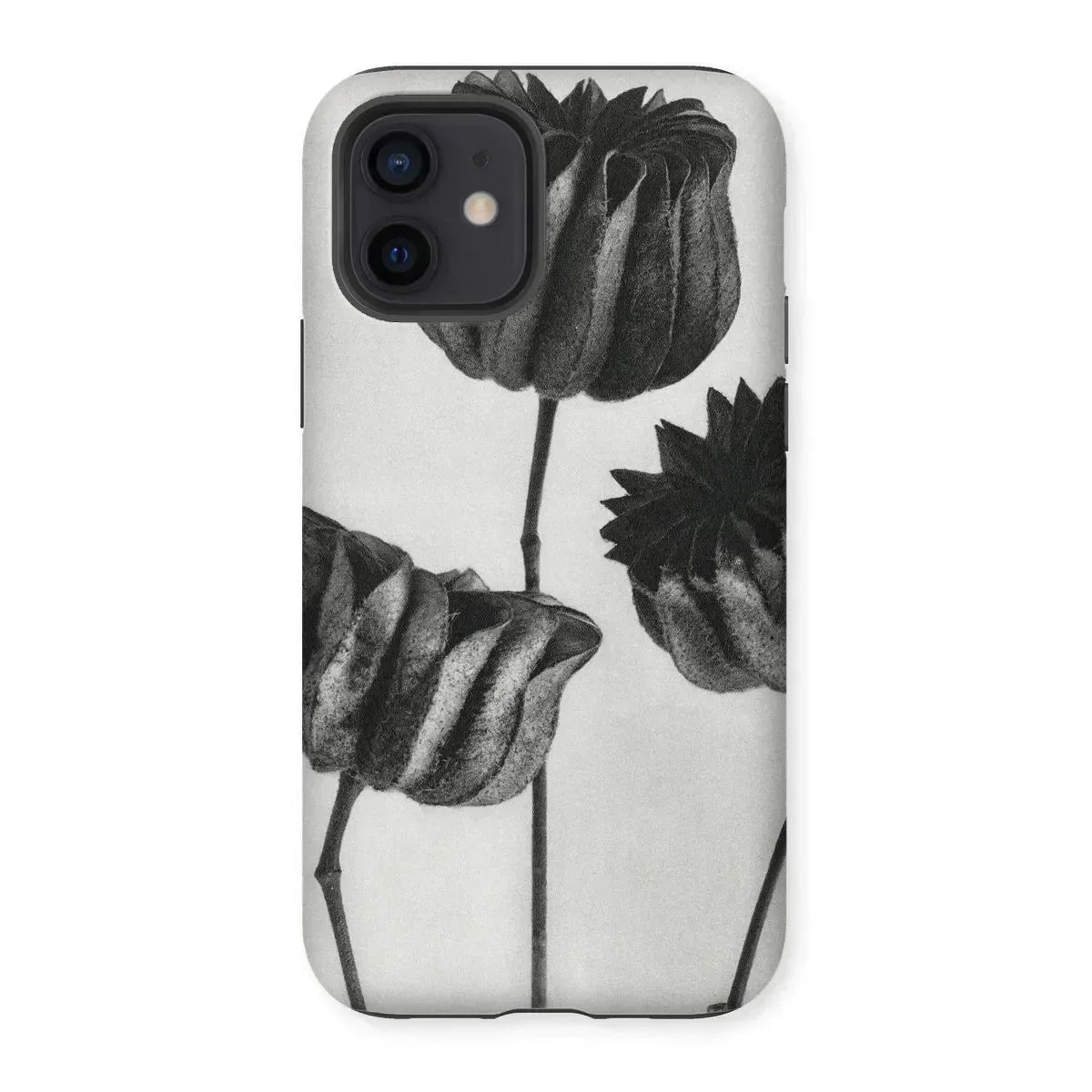 Abutilon (lime Mallow) Pod - Karl Blossfeldt Iphone Case, Phone Case Black White Floral Design Tulip-like Flowers