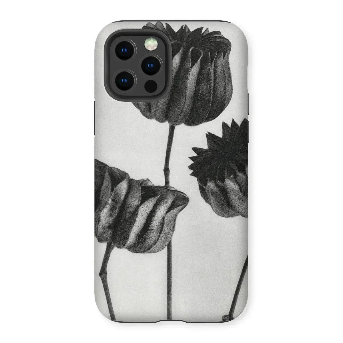 Abutilon (lime Mallow) Pod - Karl Blossfeldt Iphone Case, Phone Case Black White Floral Design Tulip-like Flowers