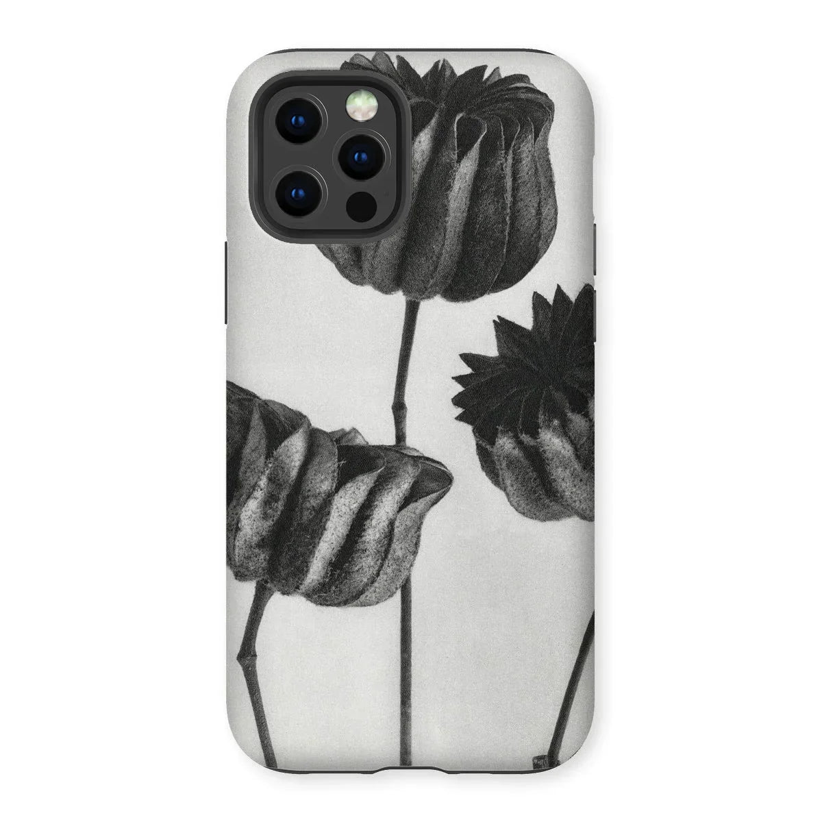 Abutilon (lime Mallow) Pod - Karl Blossfeldt Iphone Case - 12 Pro / Matte