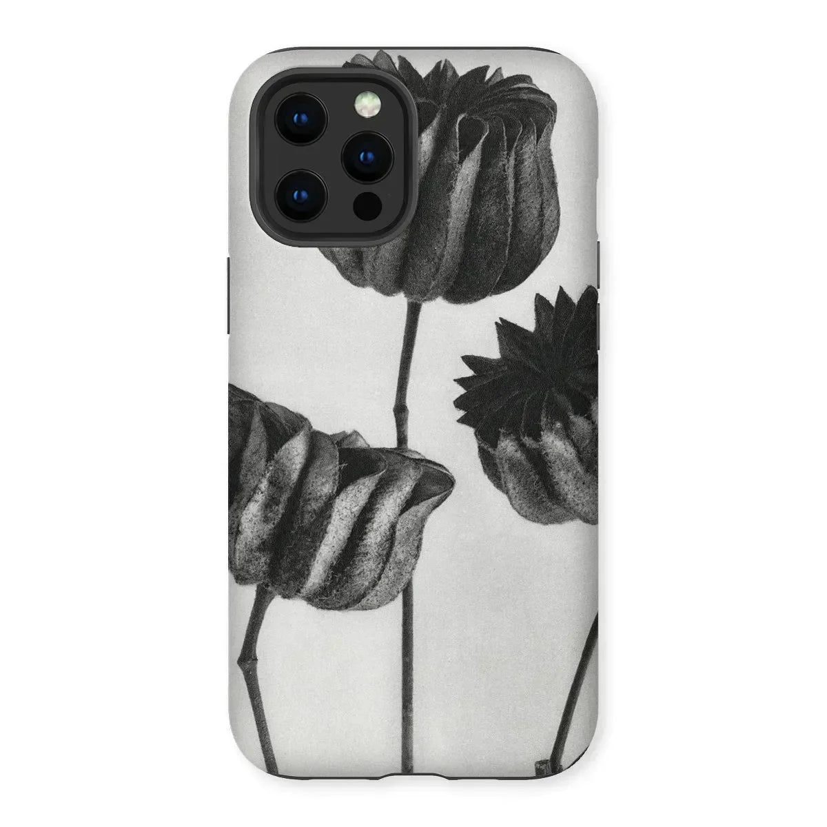 Abutilon (lime Mallow) Pod - Karl Blossfeldt Iphone Case, Phone Case Black White Floral Design Tulip-like Flowers