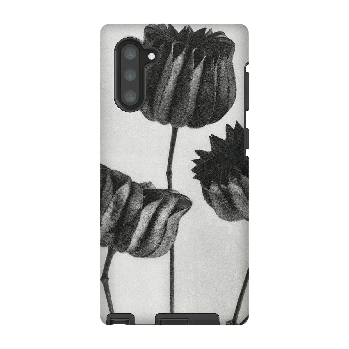 Abutilon (lime Mallow) Pod - Karl Blossfeldt Iphone Case, Phone Case Black White Floral Design Tulip-like Flowers