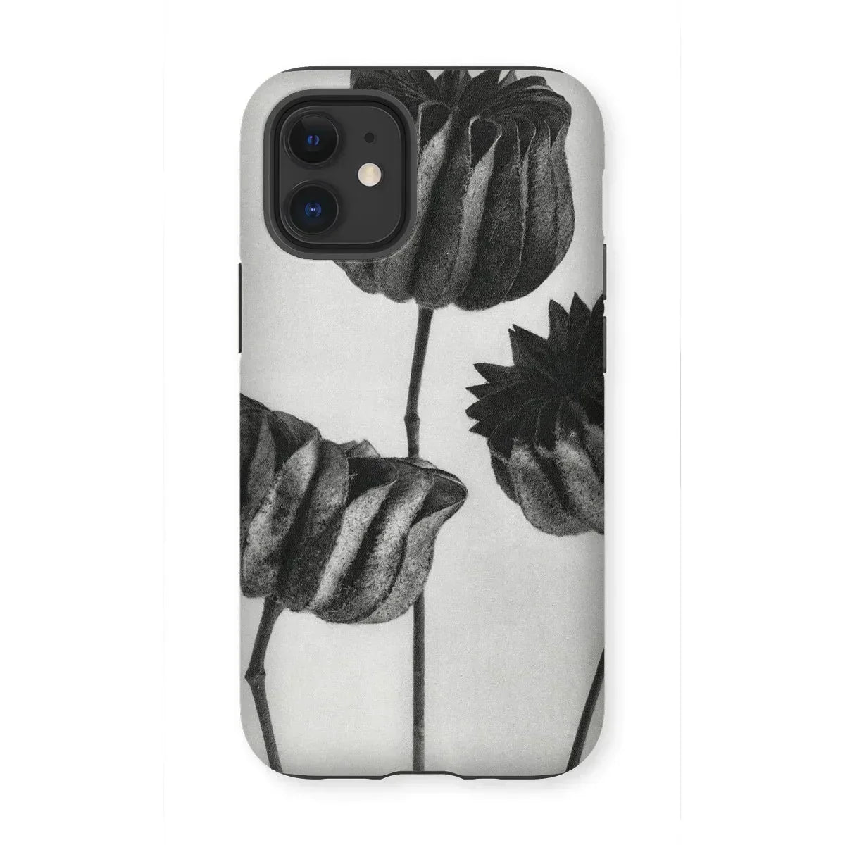 Abutilon (lime Mallow) Pod - Karl Blossfeldt Iphone Case, Phone Case Black White Floral Design Tulip-like Flowers