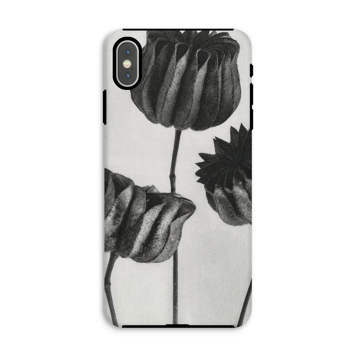 Abutilon (lime Mallow) Pod - Karl Blossfeldt Iphone Case - Xs Max / Matte