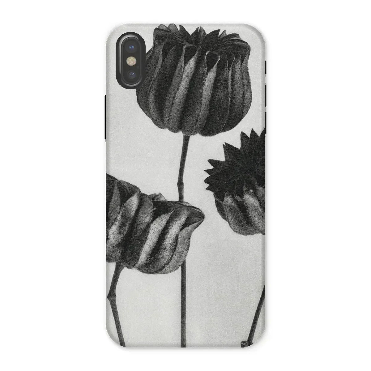 Abutilon (lime Mallow) Pod - Karl Blossfeldt Iphone Case, Phone Case Black White Floral Design Tulip-like Flowers