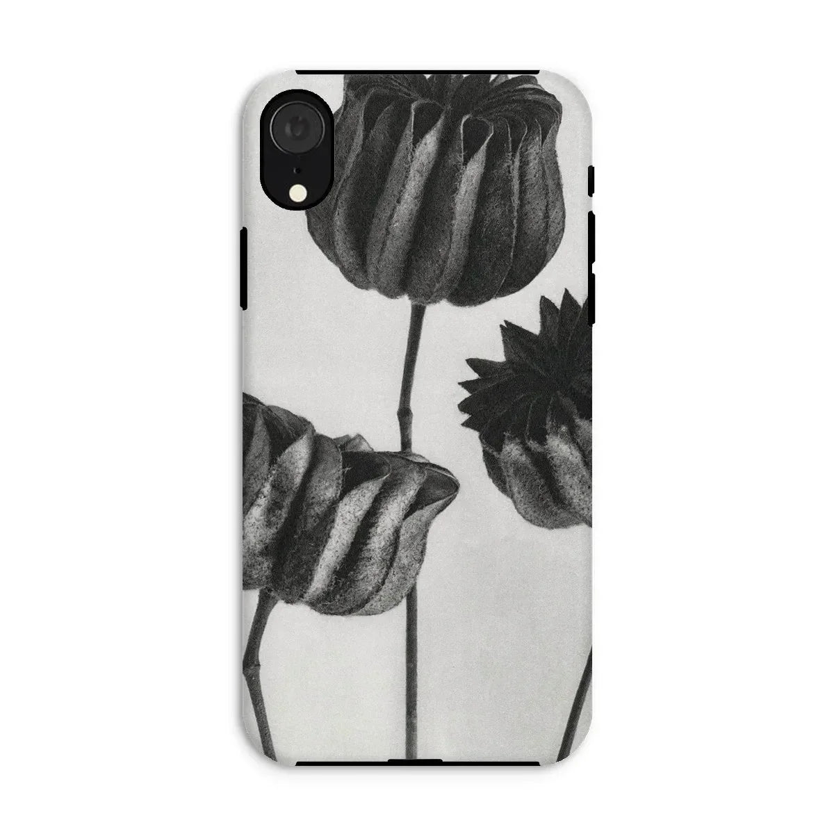 Abutilon (lime Mallow) Pod - Karl Blossfeldt Iphone Case Mobile Phone Cases