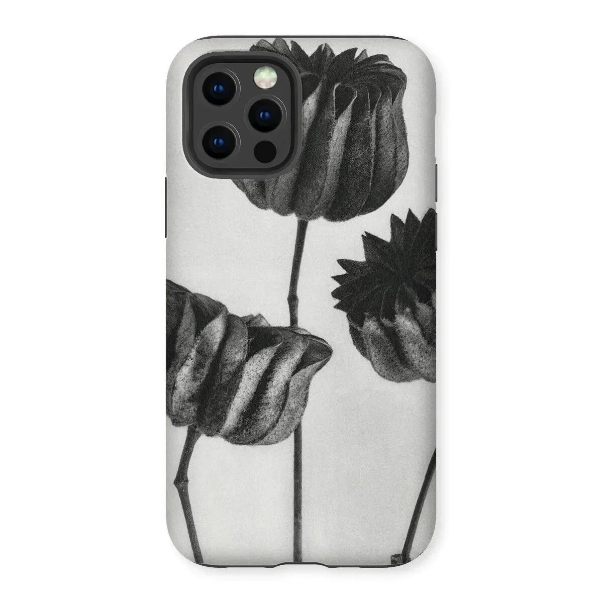 Abutilon (lime Mallow) Pod - Karl Blossfeldt Iphone Case, Phone Case Black White Floral Design Tulips