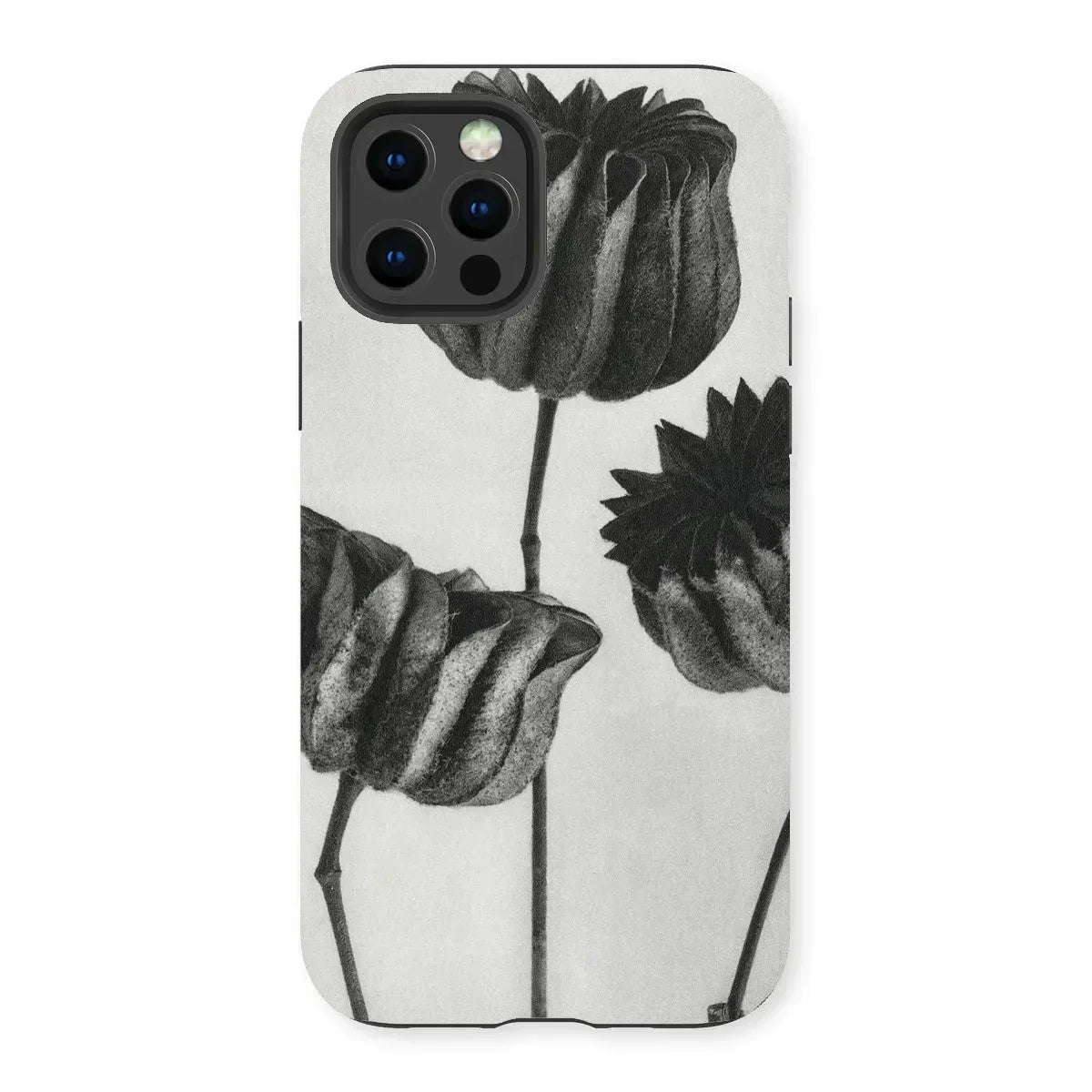 Abutilon (lime Mallow) Pod - Karl Blossfeldt Iphone Case, Phone Case Black White Floral Design Tulips