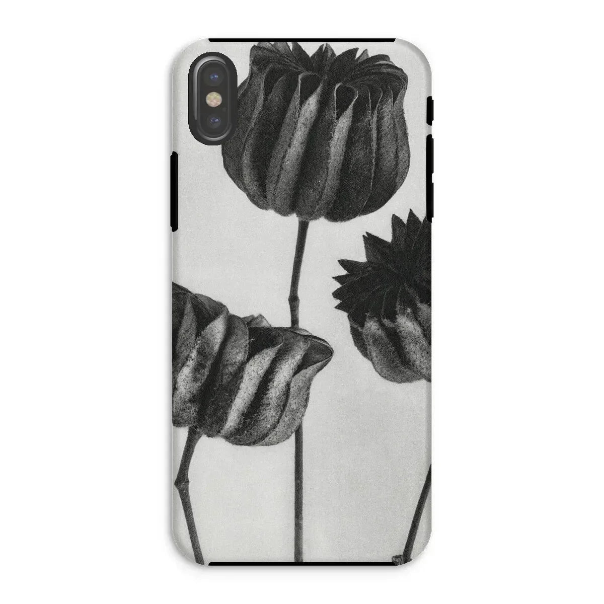 Abutilon (lime Mallow) Pod - Karl Blossfeldt Iphone Case, Phone Case Black White Floral Design Tulips