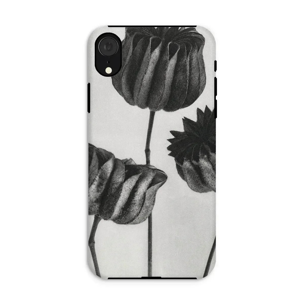 Abutilon (lime Mallow) Pod - Karl Blossfeldt Iphone Case, Phone Case Black White Floral Design Tulips