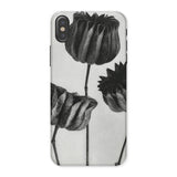 Abutilon (lime Mallow) Pod - Karl Blossfeldt Iphone Case, x / Matte, Phone Case Black White Floral Design Tulips