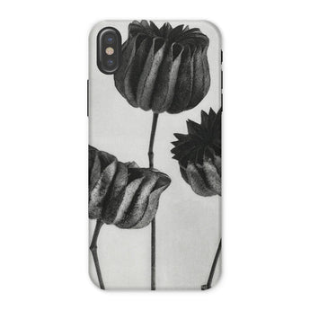 Abutilon (lime Mallow) Pod - Karl Blossfeldt Iphone Case, x / Matte, Phone Case Black White Floral Design Tulips