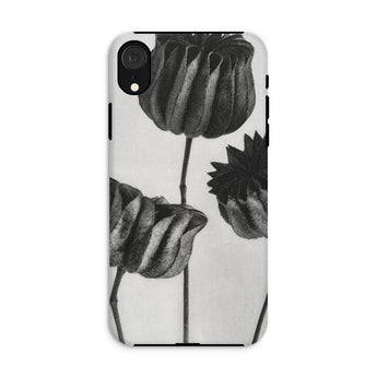Abutilon (lime Mallow) Pod - Karl Blossfeldt Iphone Case, Xr / Matte, Phone Case Black White Floral Design Tulips