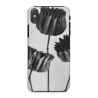 Abutilon (lime Mallow) Pod - Karl Blossfeldt Iphone Case, Xs / Matte, Phone Case Black White Floral Design Tulips