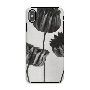 Abutilon (lime Mallow) Pod - Karl Blossfeldt Iphone Case, Xs Max / Matte, Phone Case Black White Floral Design Tulip-like Flowers