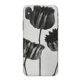 Abutilon (lime Mallow) Pod - Karl Blossfeldt Phone Case Iphone x / Matte Phone Case Black White Floral Design Tulips Karl Blossfeldt,