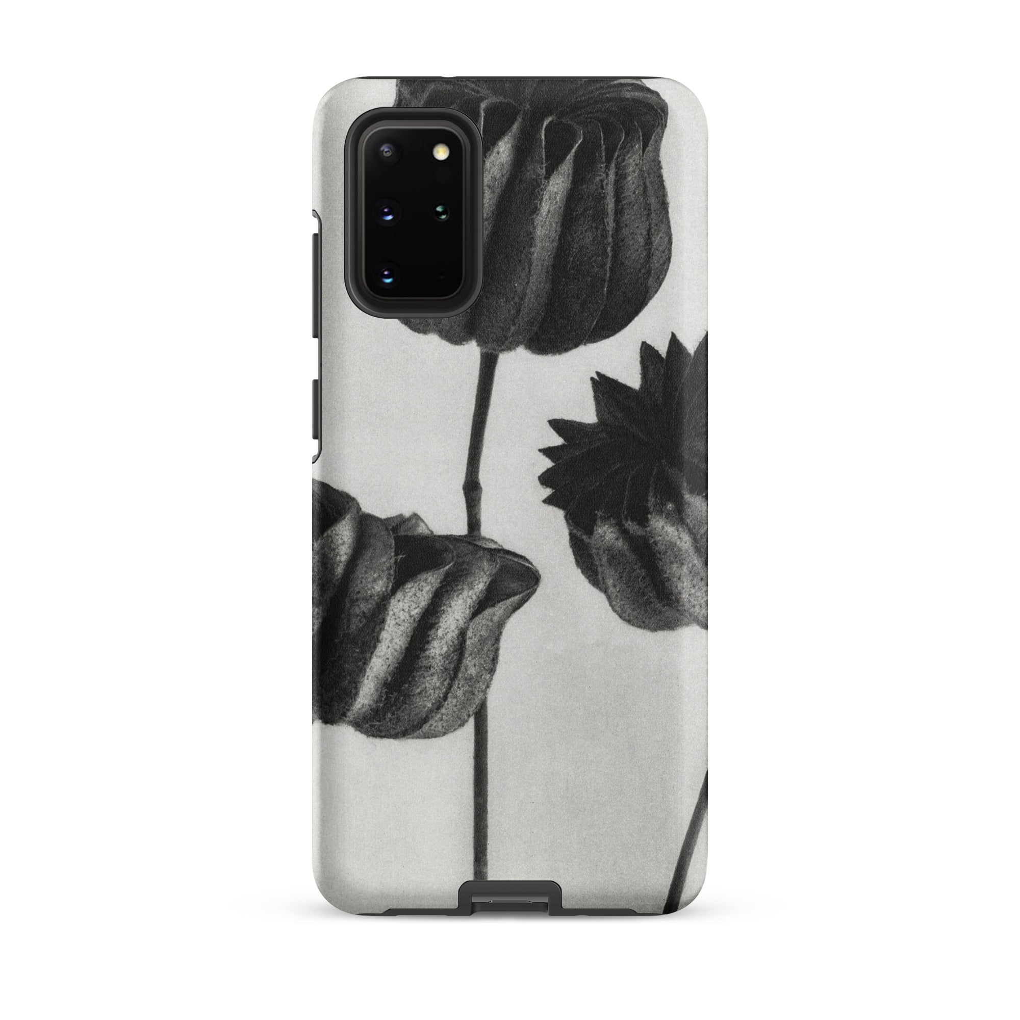 Abutilon (lime Mallow) Pod Karl Blossfeldt Samsung Case, Galaxy S20 Plus / Matte, White Phone Case Black Floral Design