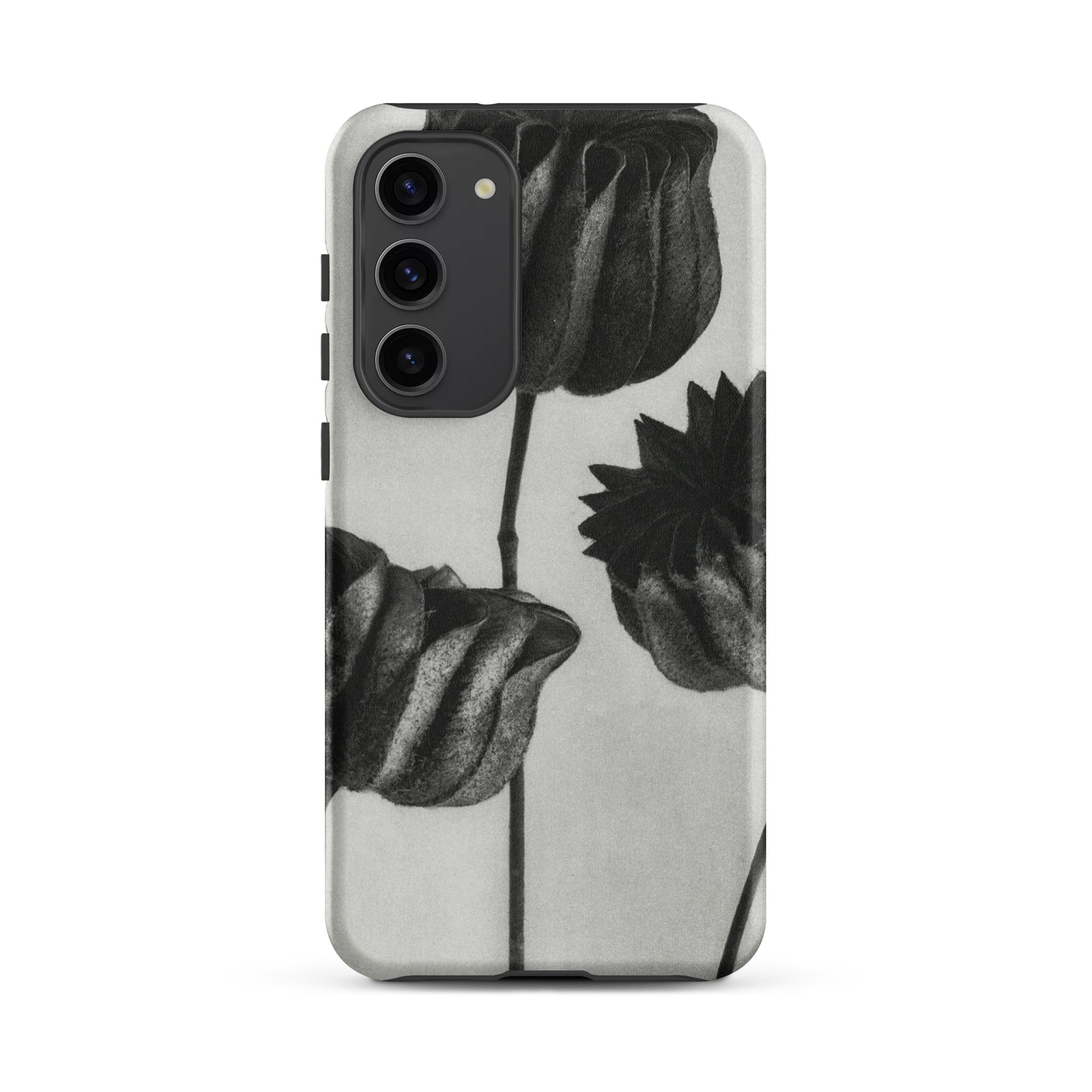 Abutilon (lime Mallow) Pod Karl Blossfeldt Samsung Case, Galaxy S23 Plus / Matte, Phone Case Black White Floral Design
