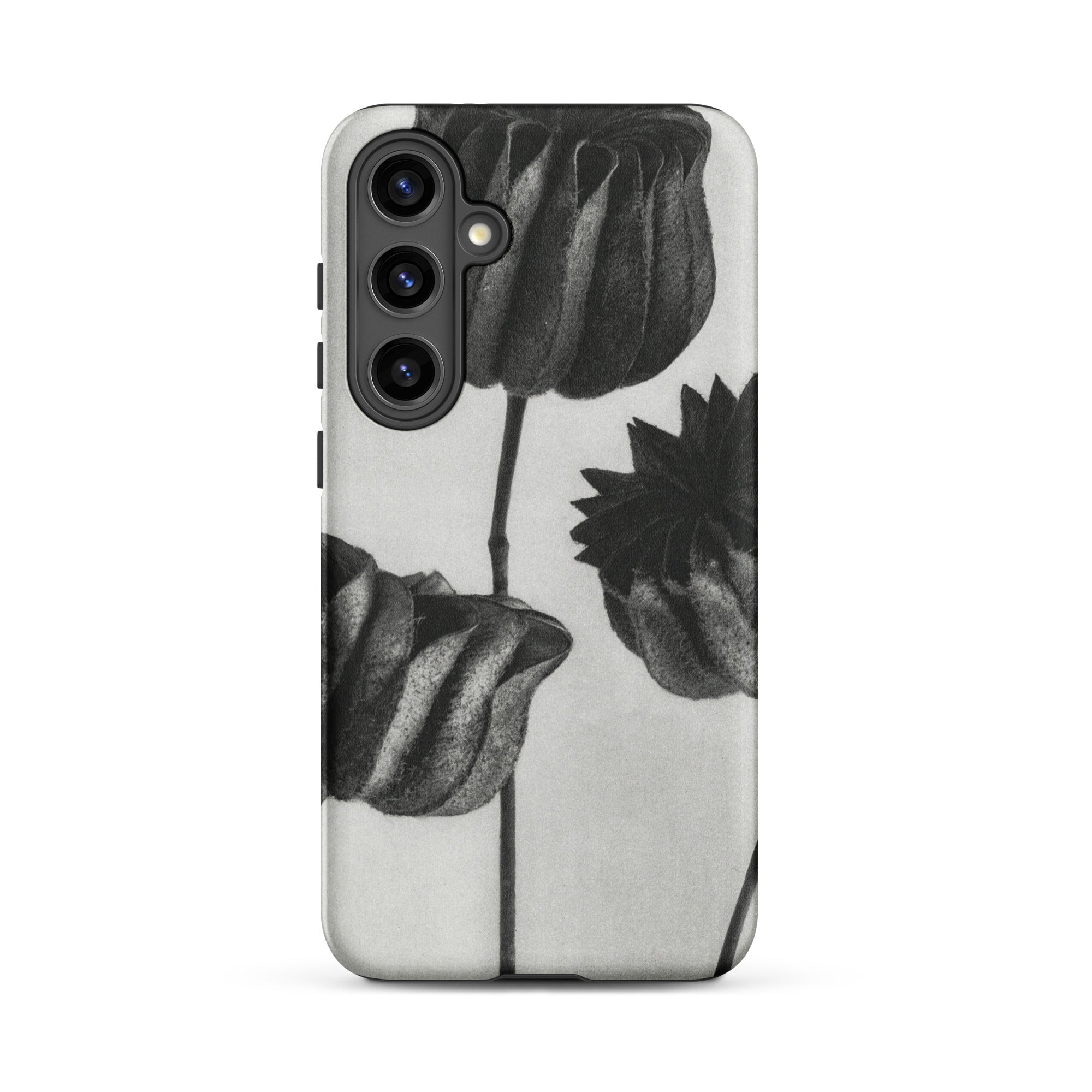 Abutilon (lime Mallow) Pod Karl Blossfeldt Samsung Case, Galaxy S24 Plus / Matte, White Phone Case Black Floral Design