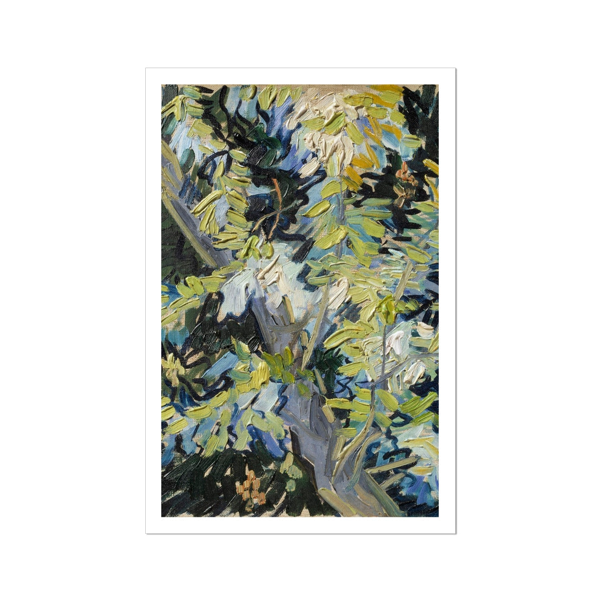 Acacia Branches Vincent Van Gogh Art Print, 24x36’’ / 61x92cm / Unframed, Impressionistic Tree Trunk Foliage