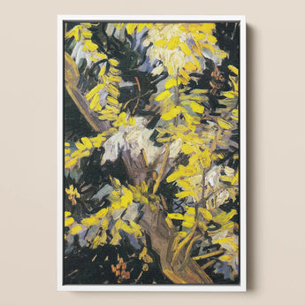 Acacia Branches - Vincent Van Gogh Art Print / Canvas, 12x18’’ / 31x46cm / White Frame, Posters Prints & Visual Artwork, Toby Leon