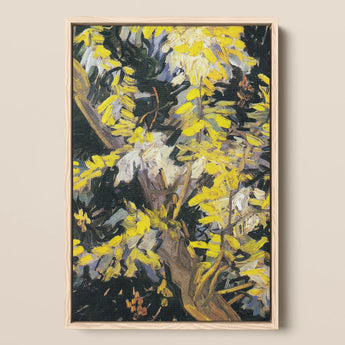 Acacia Branches - Vincent Van Gogh Art Print / Canvas Vibrant Yellow White Floral Painting Light Wood Frame Vincent Gogh Art Print,