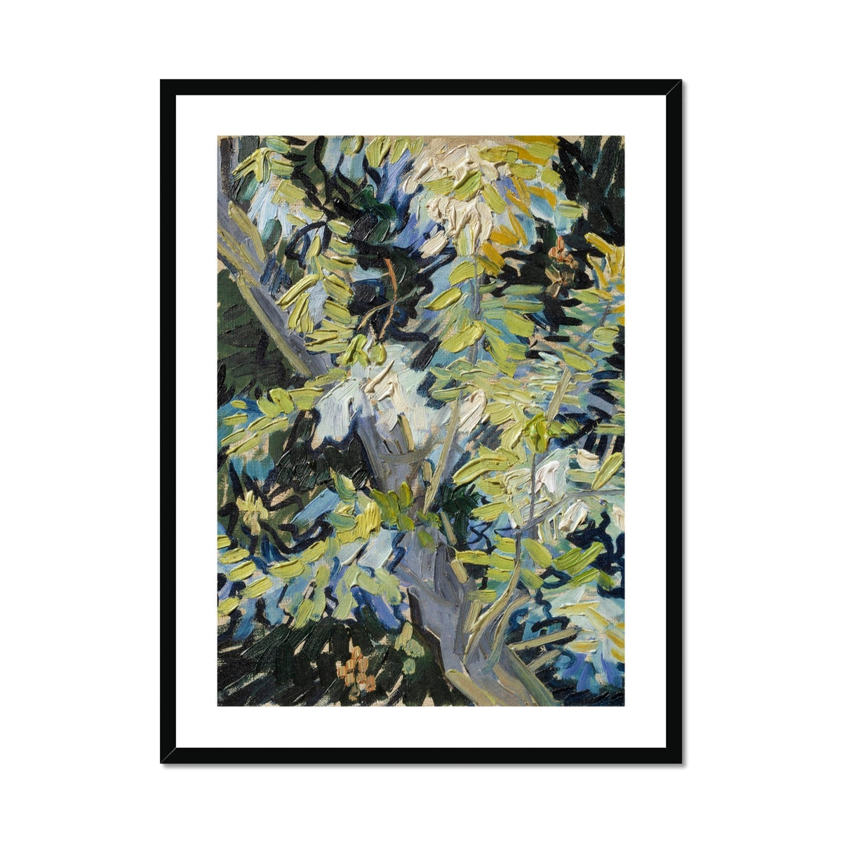 Acacia Branches - Vincent Van Gogh Art Print, Framed Impressionist Tree Painting