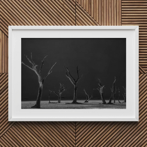 Acacia Trees of Deadvlei Art Print, 30x20’’ / 76x51cm / White Frame / 2’’ Matboard, Framed Black White Photograph Dead Trees Desolate