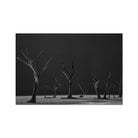 Acacia Trees of Deadvlei Art Print, Black White Photograph Numerous Dead Leafless Trees Flat