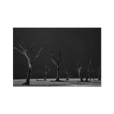 Acacia Trees of Deadvlei Art Print, Black White Photograph Numerous Dead Leafless Trees Flat