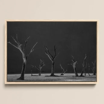 Tirage d’art / Toile Acacia Trees of Deadvlei, 17x12’’ / A3 / Cadre naturel, Posters Prints & Visual Artwork, Toby Leon