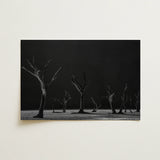 Acacia Trees of Deadvlei Art Print / Canvas, 18x12’’ / 46x31cm / Unframed / no Border, Posters Prints & Visual Artwork, Toby Leon