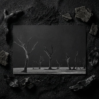 Acacia Trees of Deadvlei Art Print / Canvas Black-and-white Photographic Print Desolate Landscape Bare Skeletal Trees Acacia Trees,