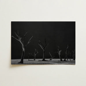 Acacia Trees of Deadvlei Art Print / Canvas Black-and-white Photographic Print Skeletal Trees Dark Background Acacia Trees, Namib-naukluft