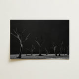 Acacia Trees of Deadvlei Art Print / Canvas Black-and-white Photographic Print Skeletal Trees Dark Background Acacia Trees, Namib-naukluft