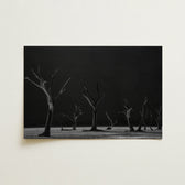 Black-and-white Photographic Print Skeletal Trees Dark Background Acacia, Namib-naukluft Park, Salt-white Clay
