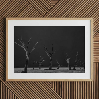 Acacia Trees of Deadvlei Art Print / Canvas Framed Black White Photograph Dead Trees Stark Landscape Skeletal Acacia Trees, Namib-naukluft