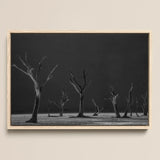 Acacia Trees of Deadvlei Art Print / Canvas Minimalist Black-and-white Framed Photograph Stark Leafless Trees Dark Skeletal Acacia Trees,