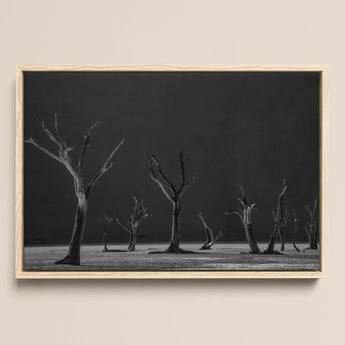 Acacia Trees of Deadvlei Art Print / Canvas Minimalist Black-and-white Framed Photograph Stark Leafless Trees Dark Skeletal Acacia Trees,