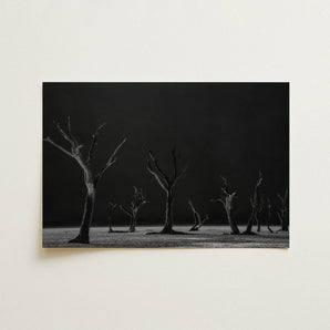 Acacia Trees of Deadvlei Art Print / Canvas, Skeletal Acacia Trees, Namib-naukluft Park, Salt-white Clay