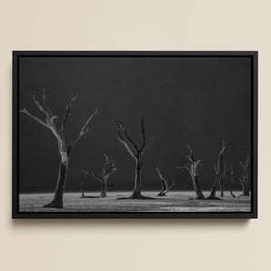 Acacia Trees of Deadvlei Framed Canvas, 18x12’’ / 46x31cm / Black Floating Frame, Framed Black White Photograph Desolate Landscape Dead