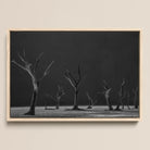 Acacia Trees of Deadvlei Framed Canvas, 18x12’’ / 46x31cm / Natural Floating Frame, Framed Black White Photograph Dead Trees Desolate