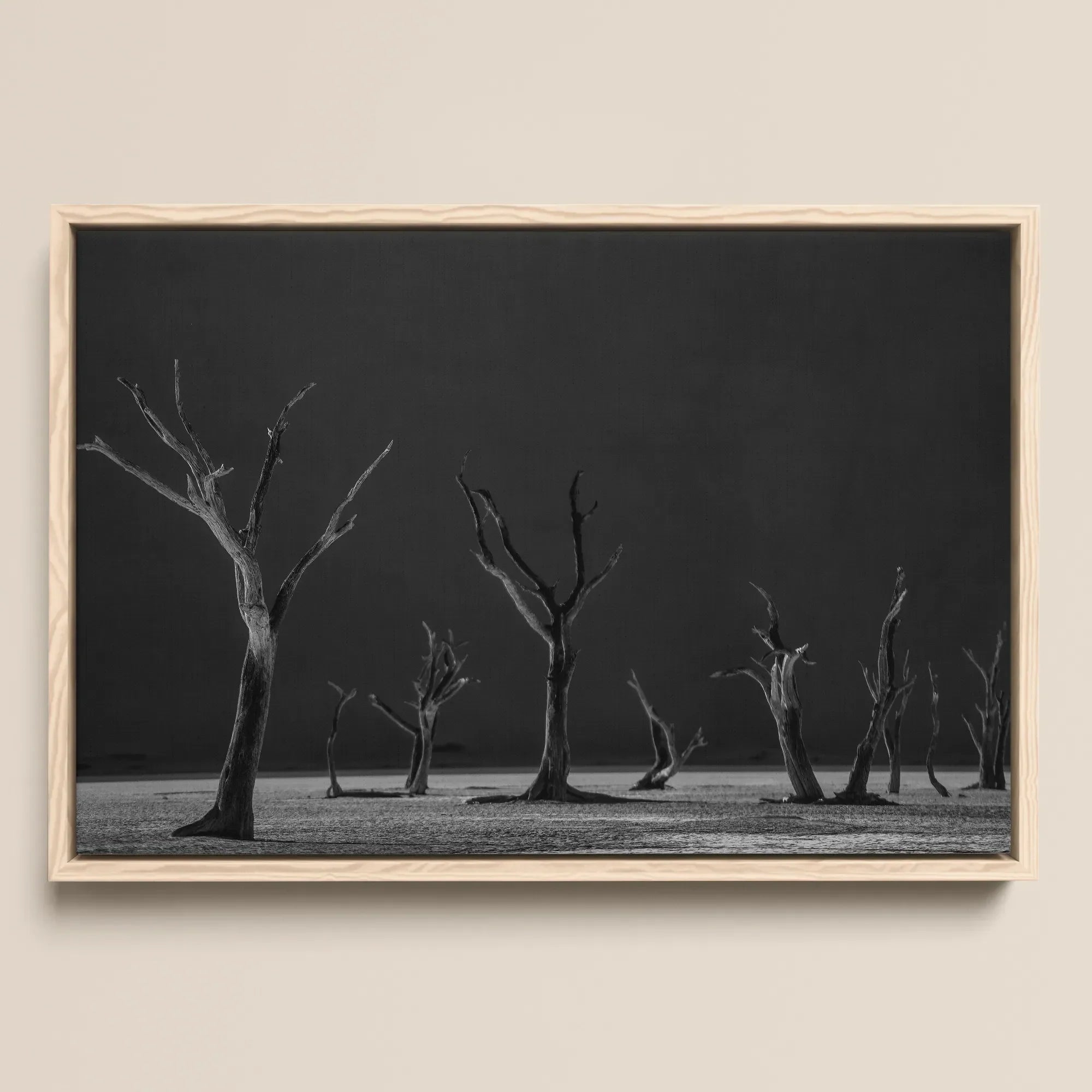Acacia Trees of Deadvlei Framed Canvas, 18x12’’ / 46x31cm / Natural Floating Frame, Framed Black White Photograph Dead Trees Desolate