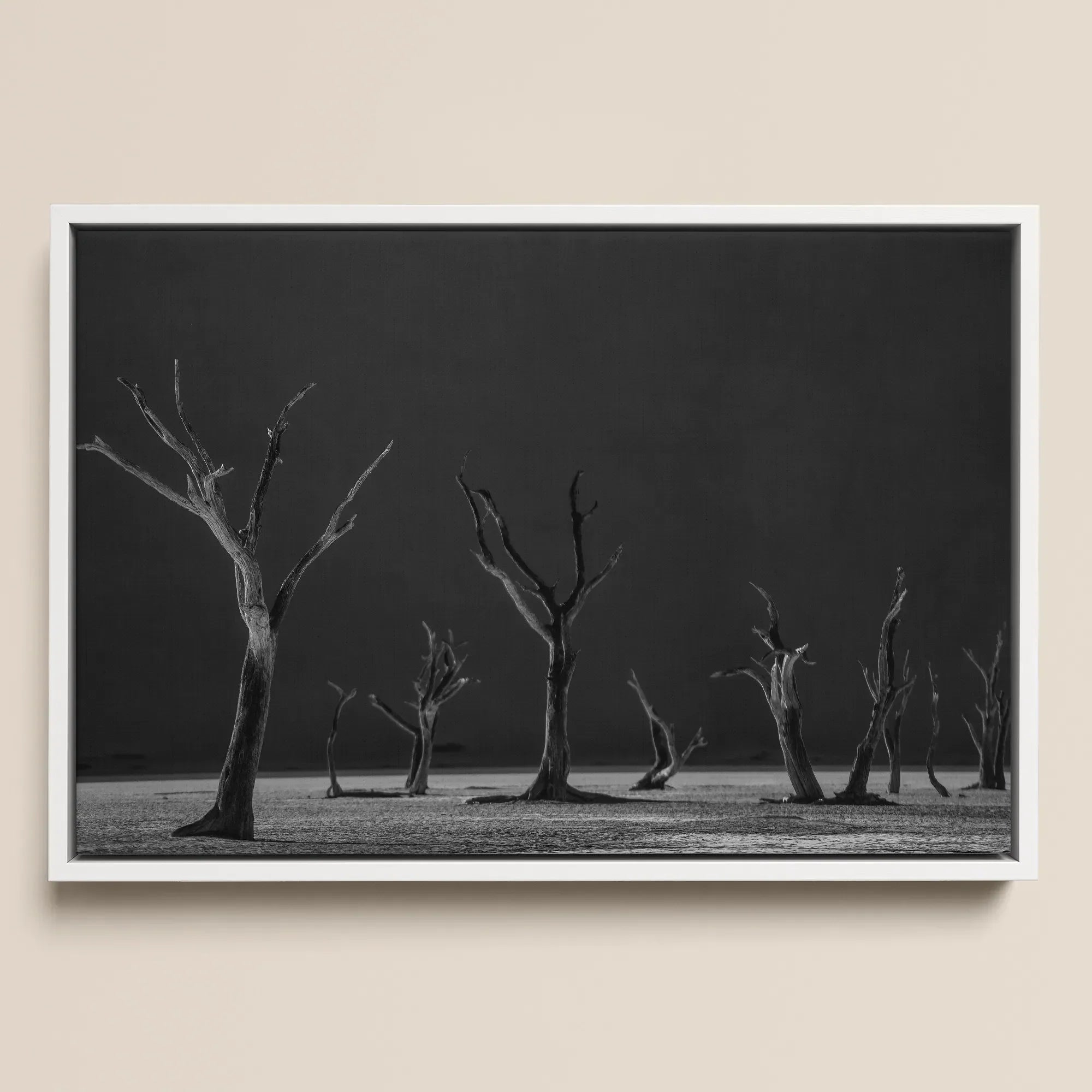 Acacia Trees of Deadvlei Framed Canvas, 18x12’’ / 46x31cm / White Floating Frame, Framed Black White Photograph Dead Trees Desolate